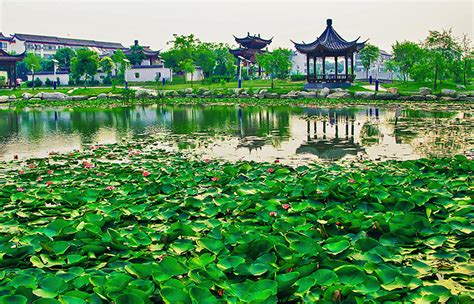 武昌东湖有哪些小区,武汉十大顶级小区