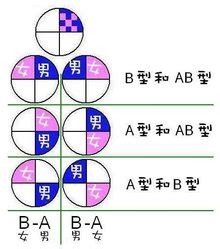 父母o型血孩子a型血