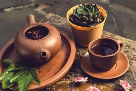 最原始的茶叶加工方法是什么,茶叶加工是什么反应