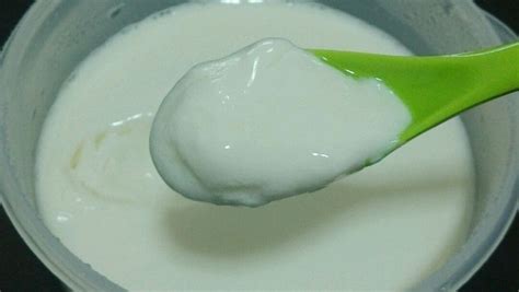 在家自制酸奶怎么做,家里自制酸奶怎么做