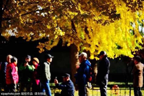 比颐和园人少，比北海清幽！北京这个“神秘”公园，冬天一定要去一次！