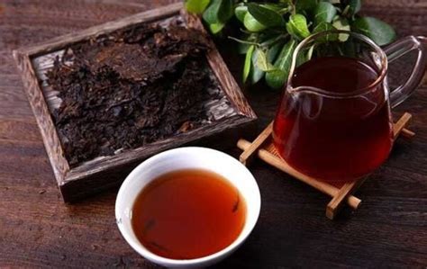 普洱茶存放久会有什么,保存普洱茶的注意事项