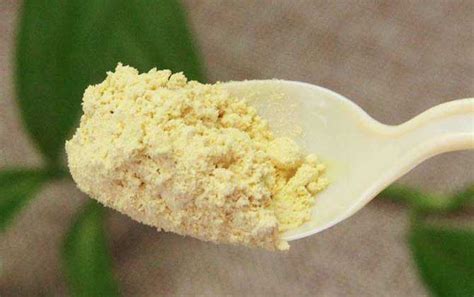 松花粉對人體有什么好處