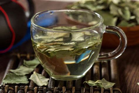 喝菊花茶有什么好处,夏天泡什么茶清热