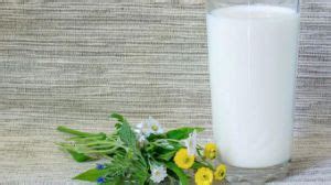 过期牛奶能浇花吗?