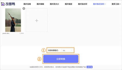如何将cdr格式转换PLT或AC6格式