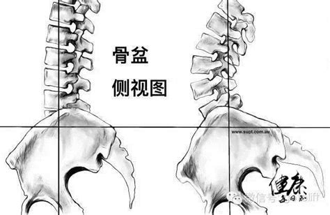 臀位转头位最快的方法姿势图