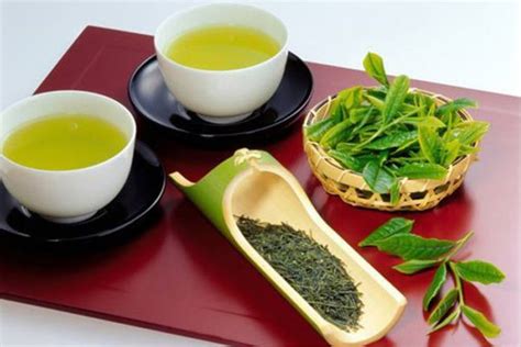 中国最早的茶叶是什么绿茶吗,考古团队发现世界最早的茶叶