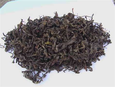 老鹰茶怎么加工比较好,大麦茶的功效与作用