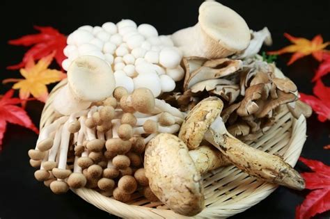 各类菌菇的营养价值和功效