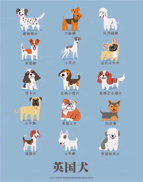 可爱的小动物-关于狗的作文250字[集锦9则]