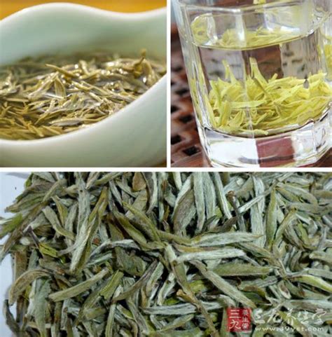老白茶保质期是多少,广西什么茶叶有名