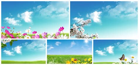 春天美景_美丽的春天作文500字【共计7篇】