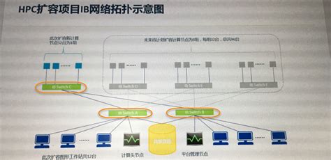 switch用法