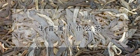 除了铁观音茶叶之外,安溪县主要产什么茶叶