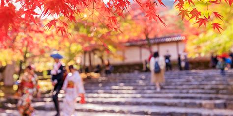 秋意渐浓 日本全国红叶观赏地图