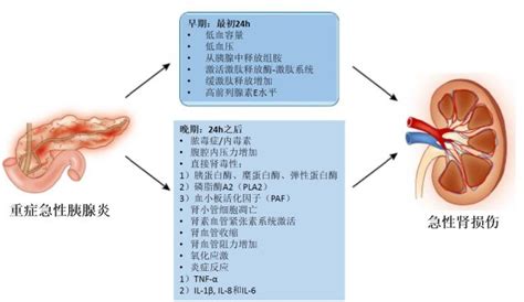 慢性附睾炎吃左氧氟沙星管用吗