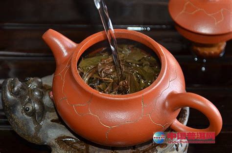 普洱茶生茶什么时候喝最好,什么时候 喝 普洱茶 生茶