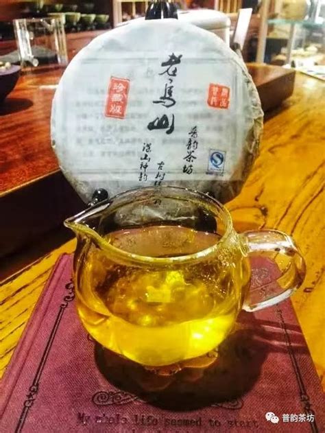 广西什么茶叶有名,老乌山茶属于什么茶