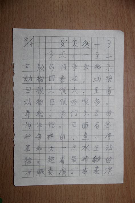 最美的照片-二年级写事作文200字(共6则)