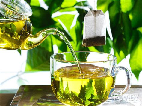 减肥绿茶有哪些品种名称,想要减肥却不想运动