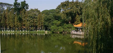 夜晚的逸仙湖公园