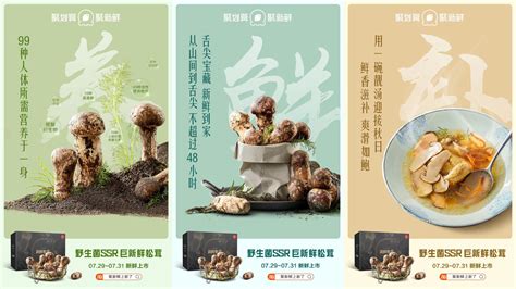 云南松茸挑选师暑假 我在剑川卖松茸