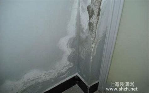 墻面滲水怎么辦??