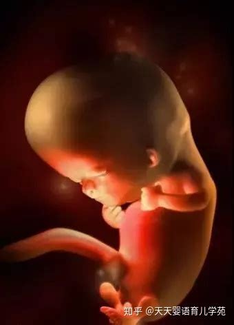 12周胎儿缺氧症状