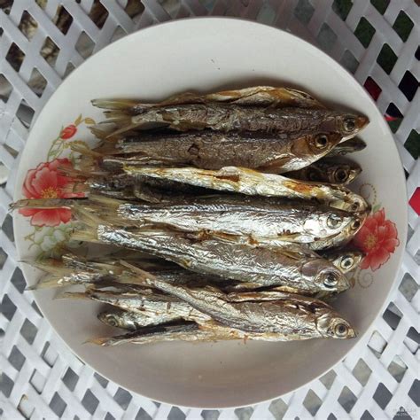广东大量收购白条鱼鱼干,白条怎么晒鱼干