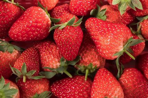 我喜爱草莓-关于水果作文350字(经典7篇)