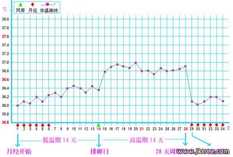 排卵期为什么没怀孕