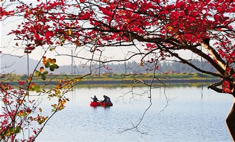 北京市园林绿化局发布今秋“赏叶”地图
