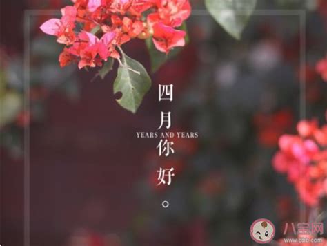 阳春的爱情微博说说