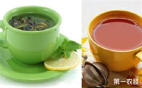 红茶和绿茶有什么区别?