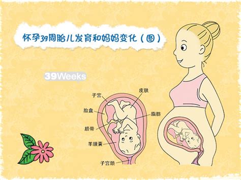 孕期重要四项检查