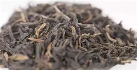 普洱茶为什么会发霉,三重保护的普洱茶