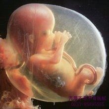怀孕4个月胎停最明显的4个征兆