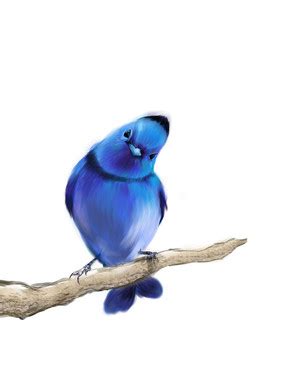 一只蓝色鸟的动画片