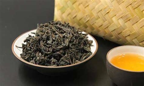 黑茶用的什么茶树,什么茶树适合制黑茶