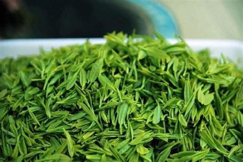 贵州出产什么茶叶,茶叶出产什么地方