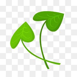 绿萝-写物的作文300字（共计10篇）