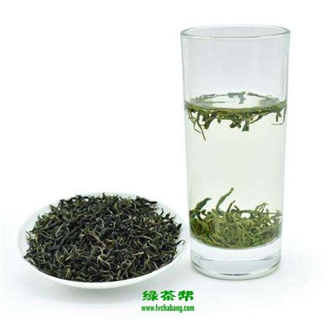 青茶和绿茶有什么不同,怎样区分青茶和绿茶