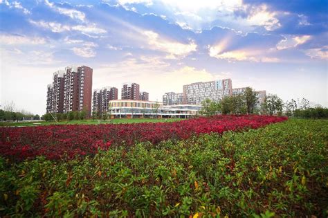 上海市各区有什么特点,漕湖农业园怎么样