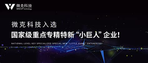 中天科技集團的介紹