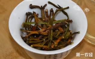 蟹脚茶有什么功效,寄生在茶树上的螃蟹脚