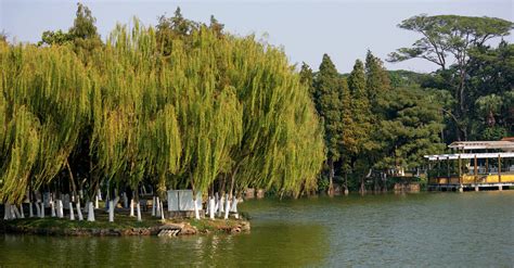 我在中山高平,请问去中山逸仙湖公园怎么走啊? 急!!! 回答要详细点哦...