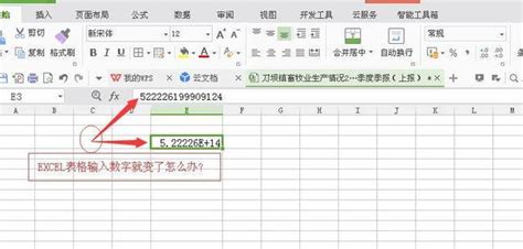 用WPS表格文档修改内容后另存为文件自动生成后缀为XSL..ET的文档,请问各位大神,这是什么情况?