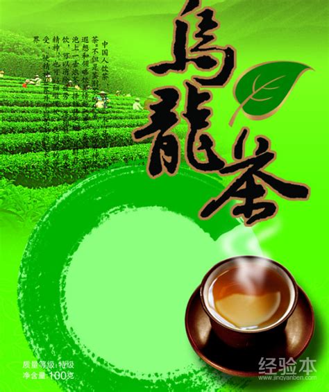 乌龙茶怎么手采青,春茶丨铁观音是怎么炼成的