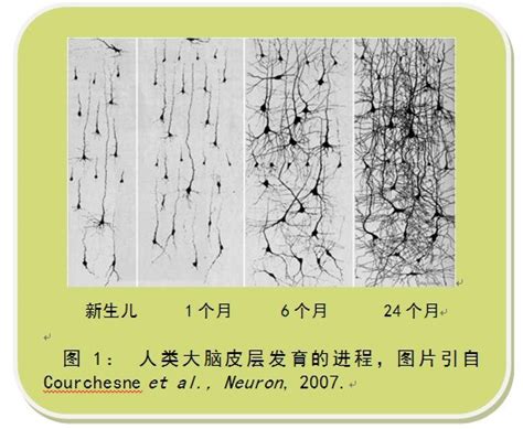 视觉刺激促进宝宝脑力发展(2)